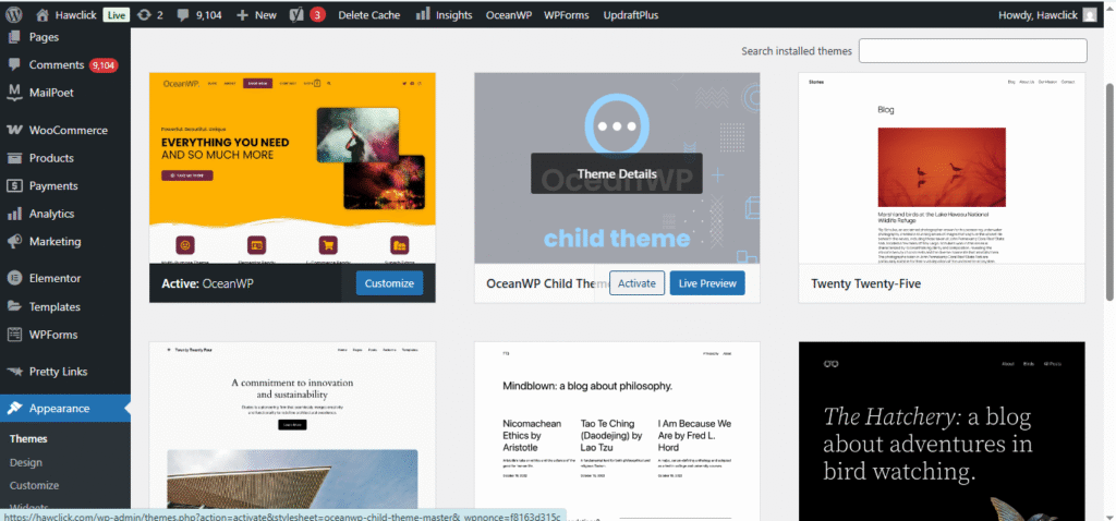 Install a wordpress theme, to create a wordpress website